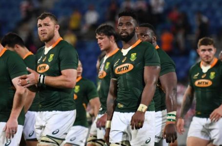 Le rugby sud-africain de nouveau à l’épreuve du racisme