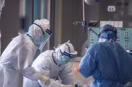 Coronavirus: 39 nouveaux cas en Belgique, 239 au total