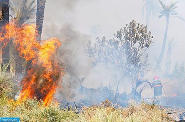 Taounate: Un mort et un blessé parmi les volontaires pour circonscrire un incendie de forêt dans la commune de Galaz (autorités locales)