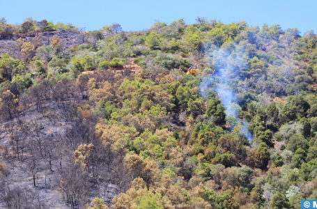 M’diq-Fnideq : L’incendie de la forêt “Kodiat Tifour” presque entièrement circonscrit