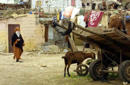 les « koutchis », charrettes tirées par des animaux, n’ont plus leur place à Casablanca