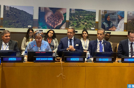 Le Maroc et l’ONU célèbrent à New York l’arganier, arbre endémique du Royaume