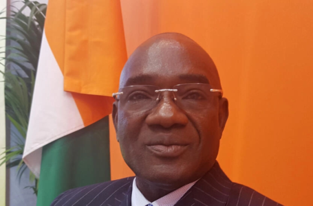 Côte d’Ivoire: le régulateur de la filière anacarde tente de rassurer sur les résultats du secteur