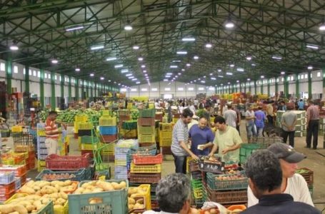 Fruits et légumes: Meknès s’offre un nouveau marché de gros